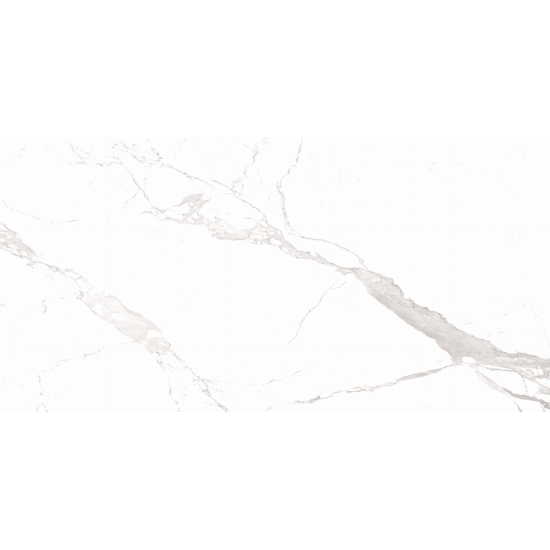 GRES MARBLE ALASKA WHITE 120X60 POLER